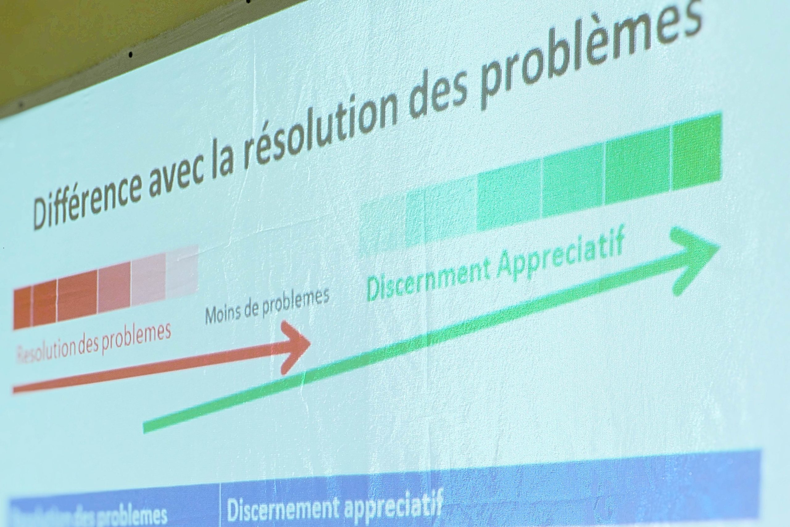 DISCERNEMENT APPRECIATIF