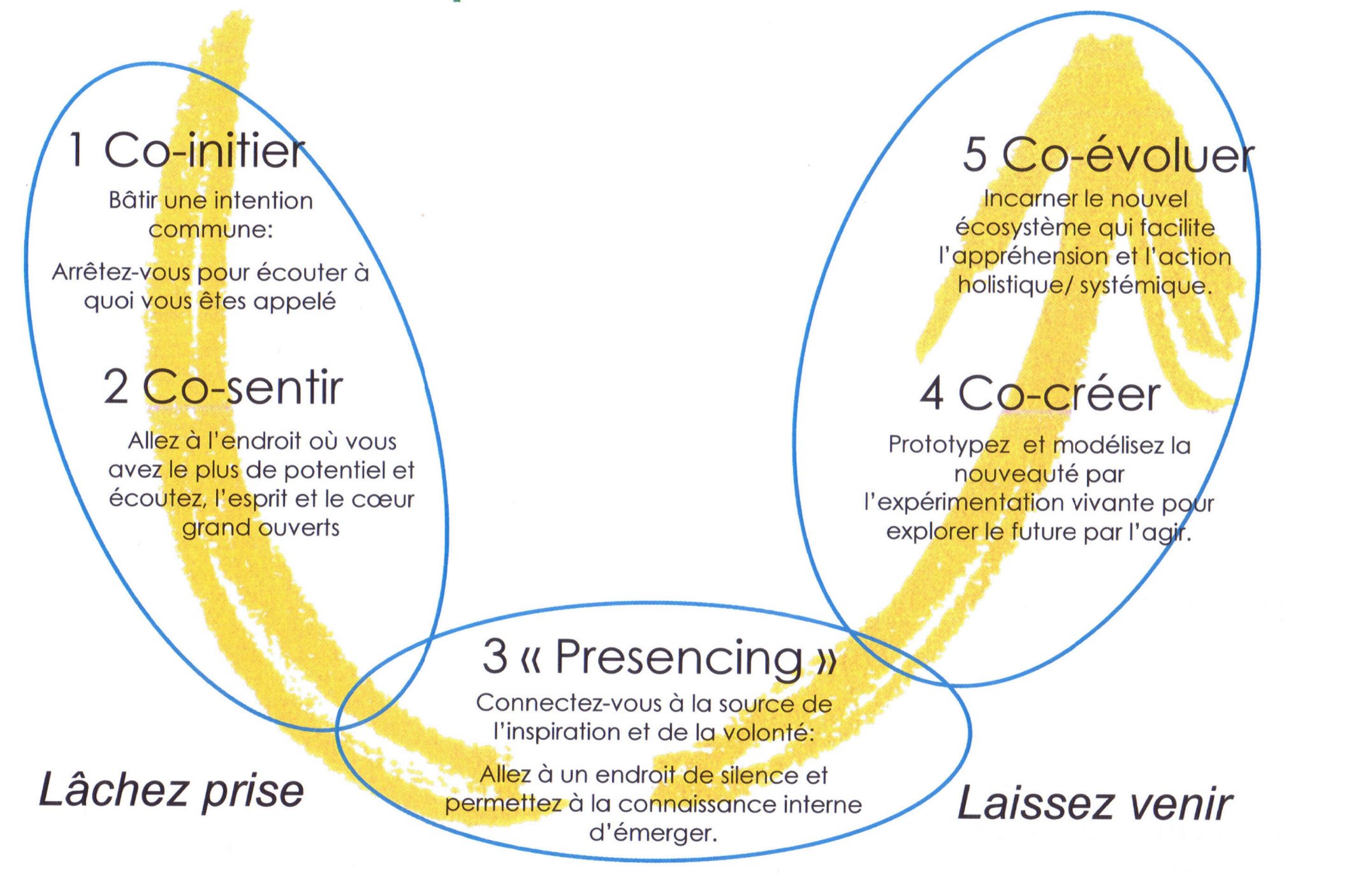 Théorie U et le discernement appréciatif